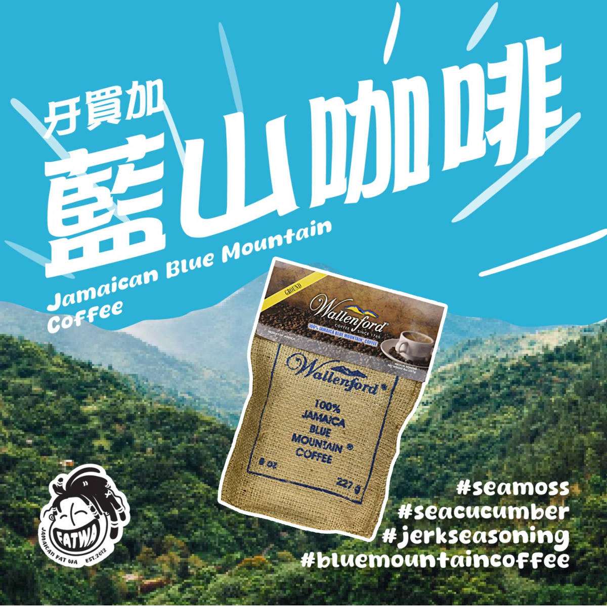 藍山咖啡|手沖咖啡粉 (WALLENFORD / JABLUM)