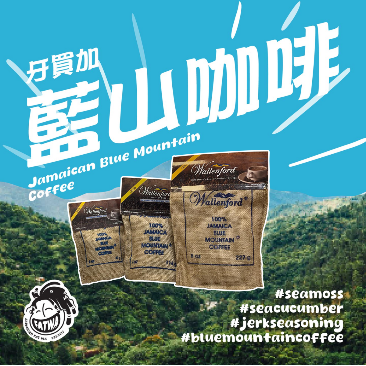 藍山咖啡|手沖咖啡粉 (WALLENFORD / JABLUM)